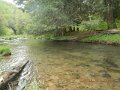 camp 05-17-13 034